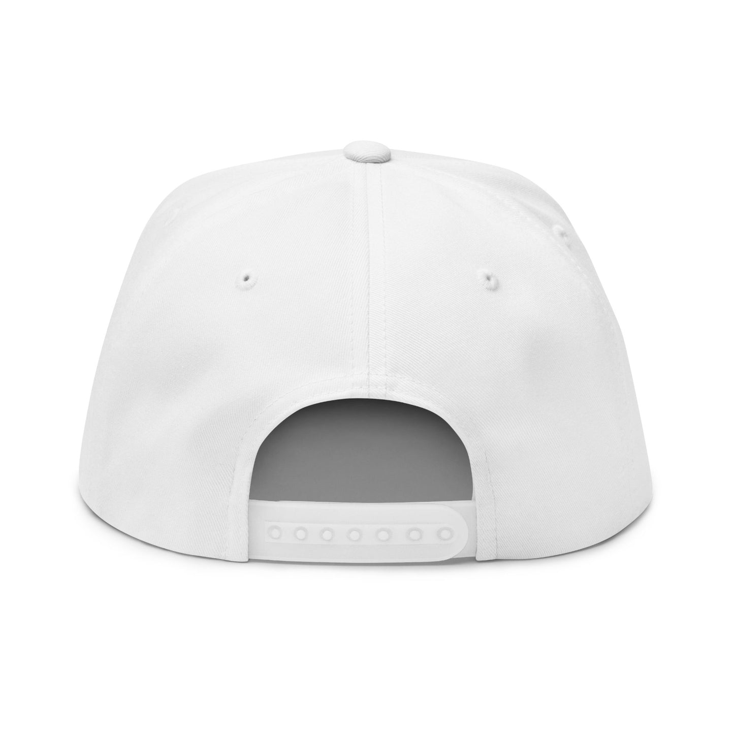 Flat Bill Cap — "The Outhouse Gen X" Embroidered Snapback