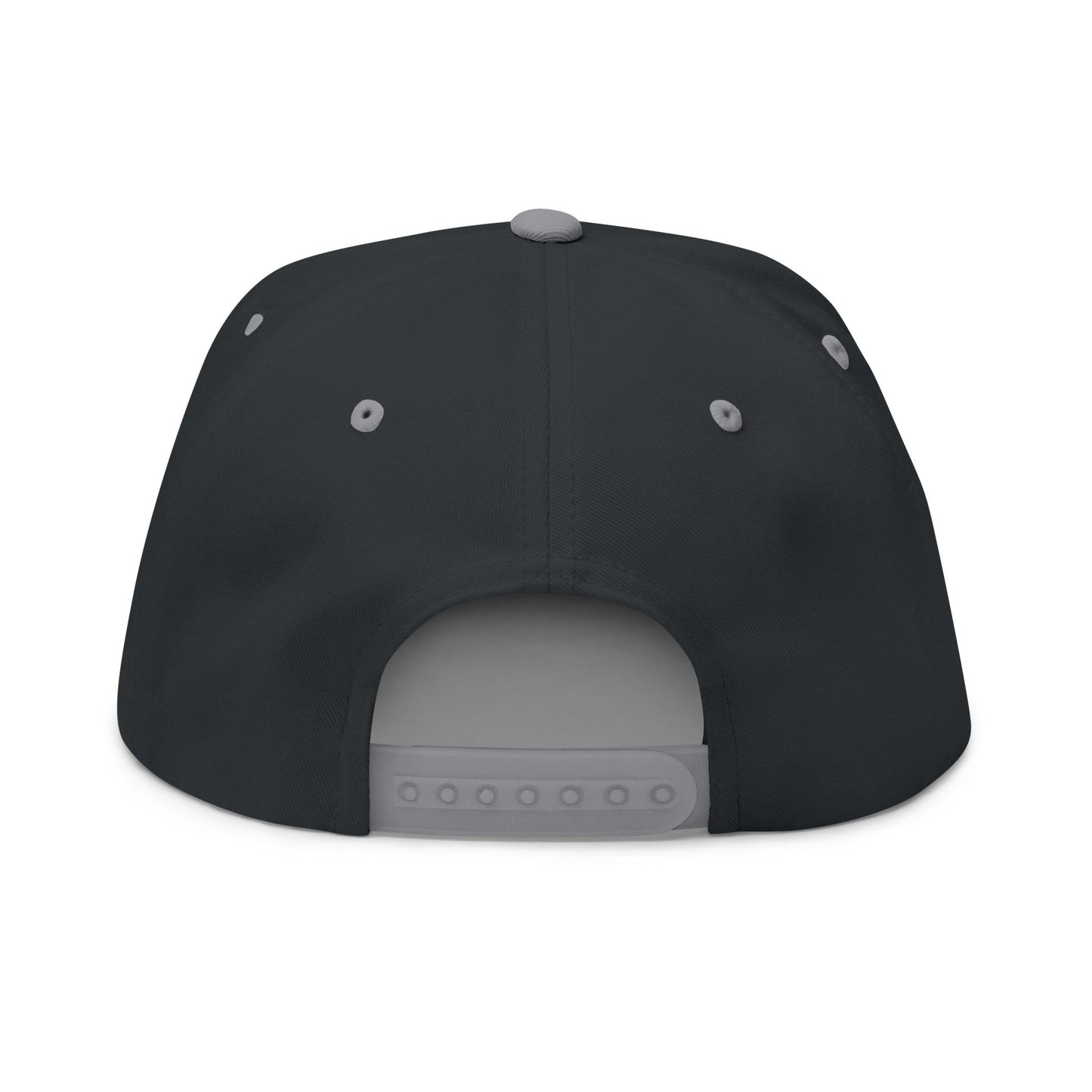 Flat Bill Cap — "The Outhouse Gen X" Embroidered Snapback