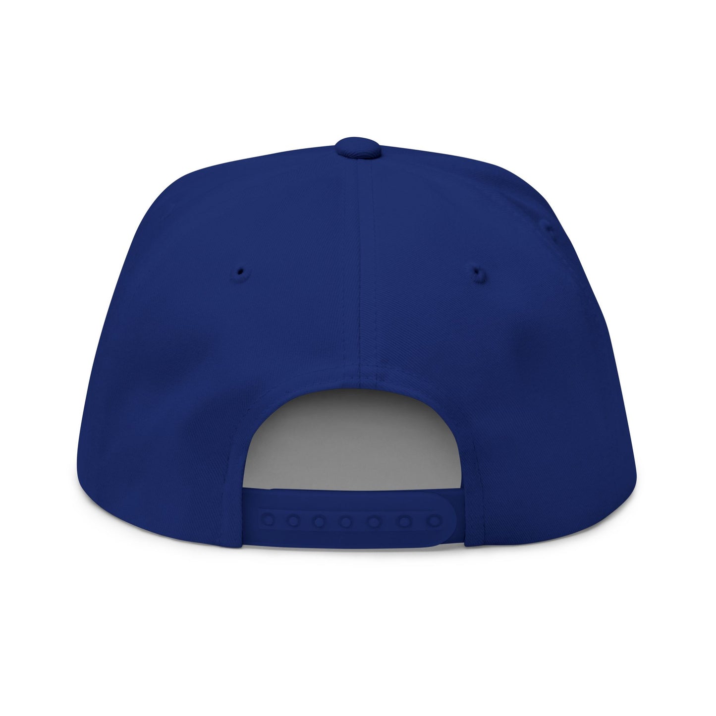 Flat Bill Cap — "The Outhouse Gen X" Embroidered Snapback