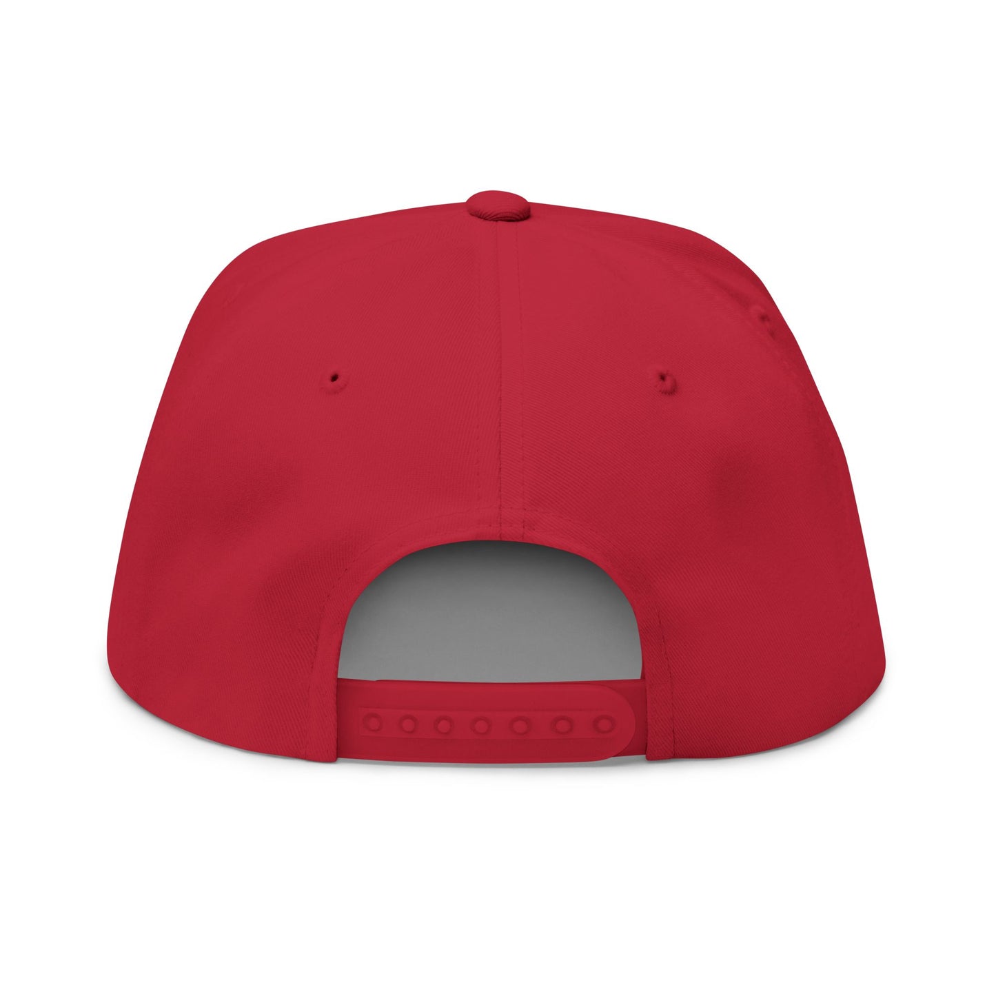 Flat Bill Cap — "The Outhouse Gen X" Embroidered Snapback